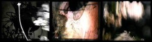 17-days-video-series-video-art-exhibition-barbara-agreste