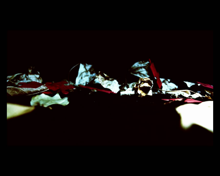 cyanide-video-art-red-fragments