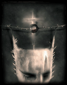 metamorphose