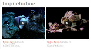 inquietudine-video-art-2video-undo.net-giovanni-viceconte