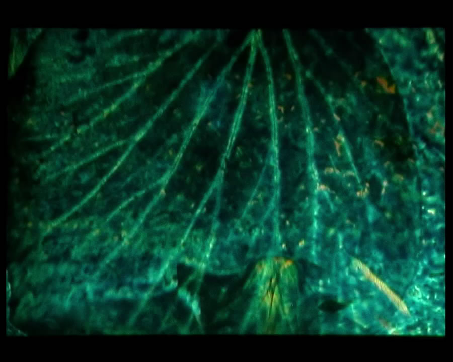 Video Art 16 mm