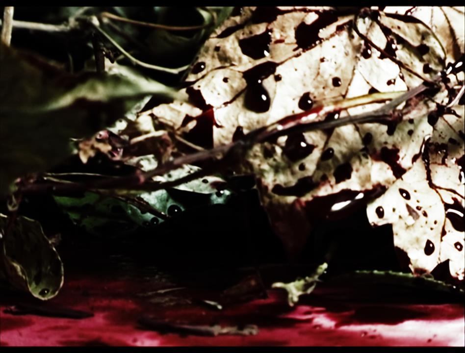 puzzle-video-art-film-rain-blood-red
