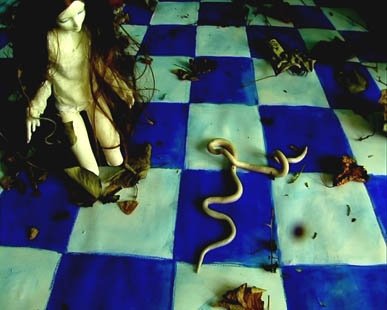 Review about Barbara Agreste, by Claudia Quintieri, Inside Art Magazine. alice-reptilica-video-art-film