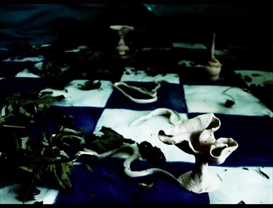 Video Art Reptilica animation
