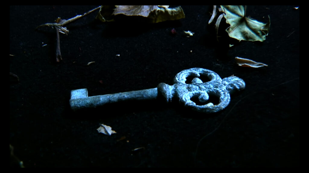 Cyanide Video Art Key