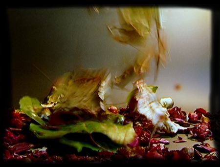 Still frame from experimental video "Rain" by Barbara Agreste.