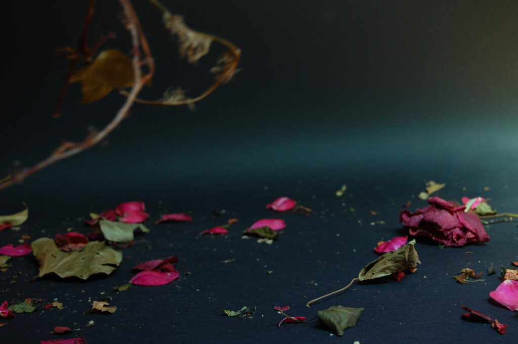 "Petals", video frame, film still, video art by Barbara Agreste