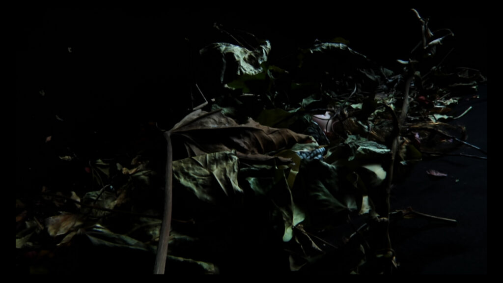 Cyanide (frame with doll), Video Art by Barbara Agreste (short art film)