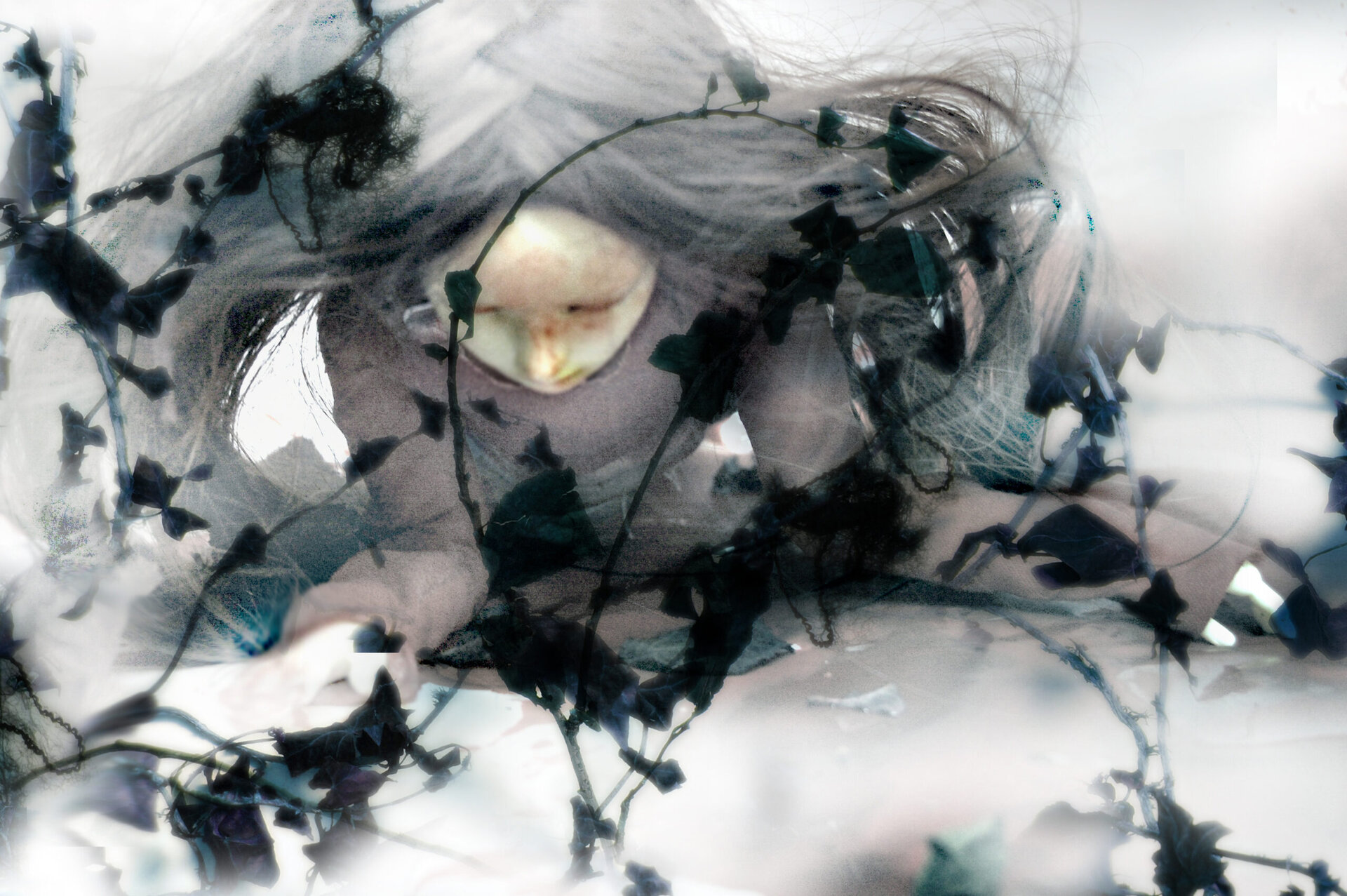 barbara-agreste-nigredo-painting-digital-surrealism-expressionism4